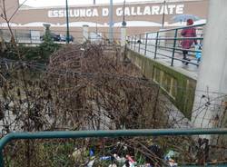 gallarate generico