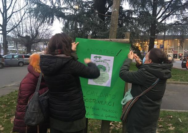 Protesta contro il taglio degli alberi in piazza stazione a Gallarate