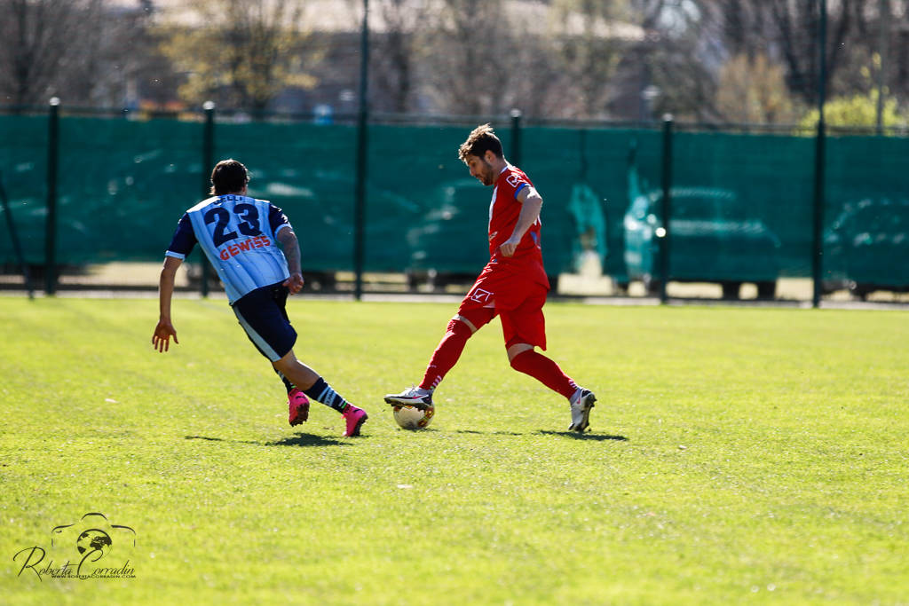 calcio pro patria albinoleffe