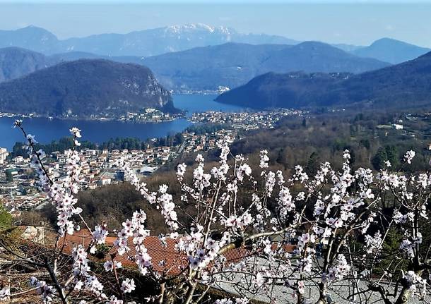 Uno sguardo sul Ceresio