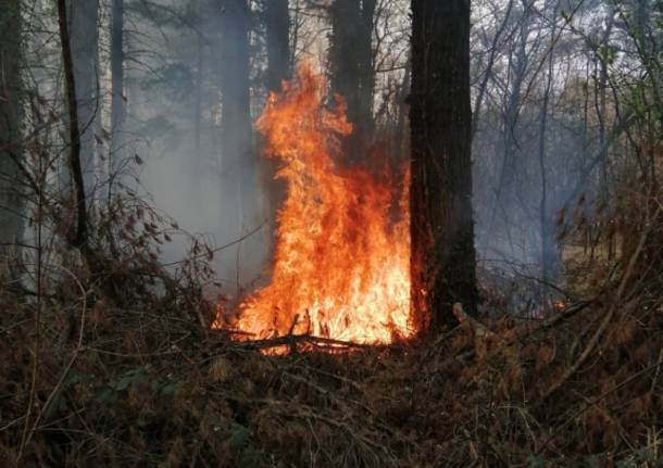 Incendio Coarezza marzo 2021