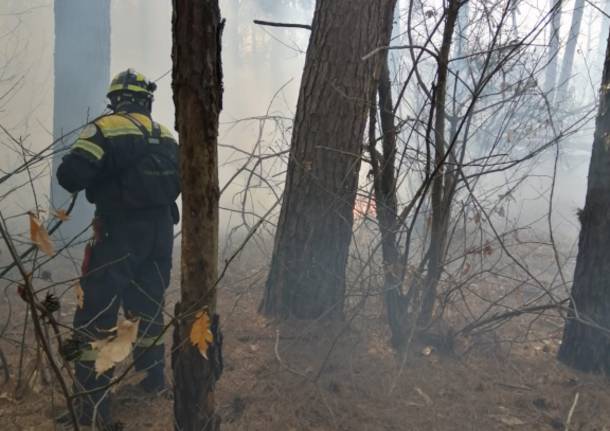 Incendio Coarezza marzo 2021