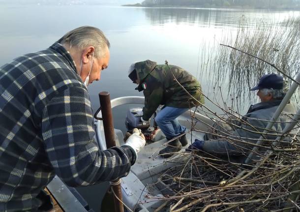 Posa fascine sul Lago di Varese