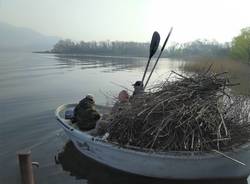 Posa fascine sul Lago di Varese