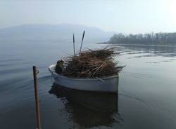 Posa fascine sul Lago di Varese