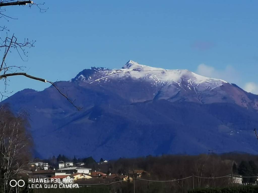 "Salviamo gli ultimi terreni liberi a Cislago". L'appello di Salviamo il paesaggio ai futuri candidati sindaco