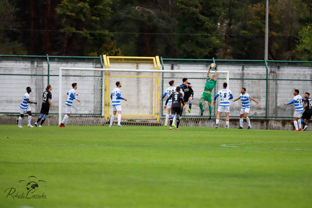 calcio pro patria novara