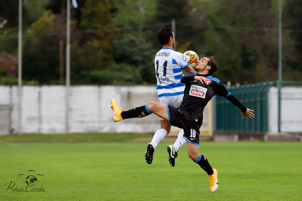 calcio pro patria novara