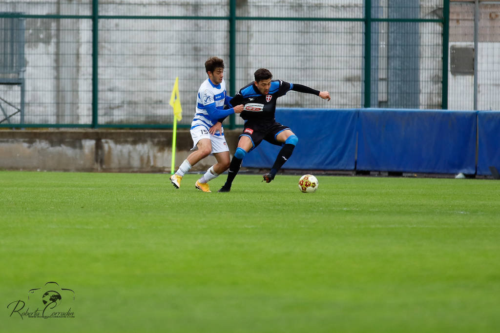 calcio pro patria novara