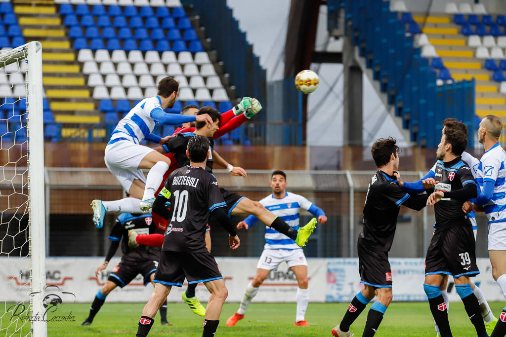 calcio pro patria novara