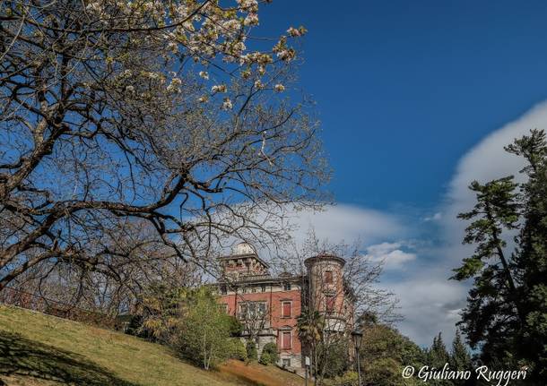 I colori della primavera in Villa Toeplitz  a S.Ambrogio Varese