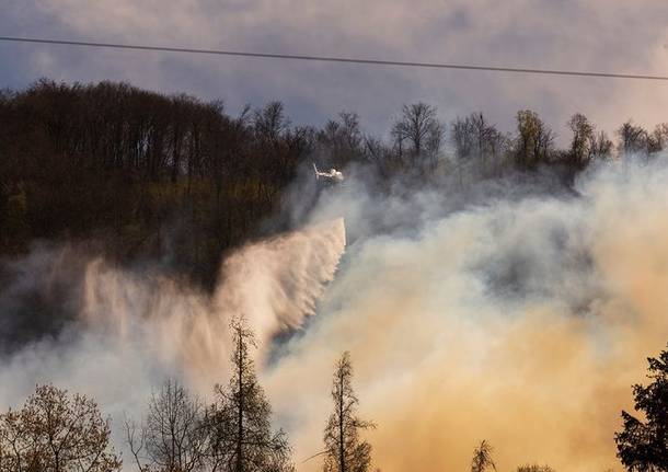 Incendio nei boschi di Marchirolo