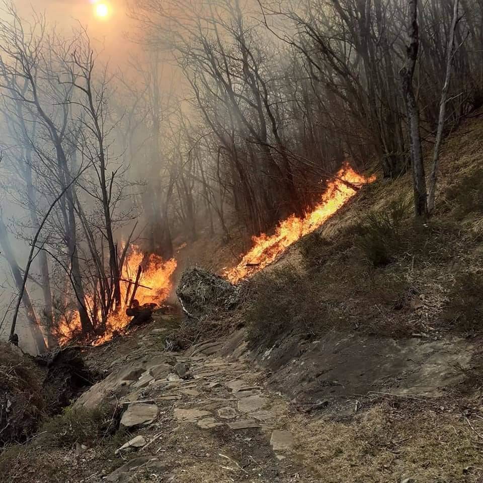 Incendio in Valle Canobbina, le impressionanti immagini del Coav Valli del Verbano