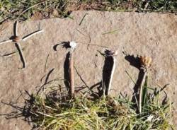 "Land Art Lissago", i bambini della scuola materna creano piccole opere naturali