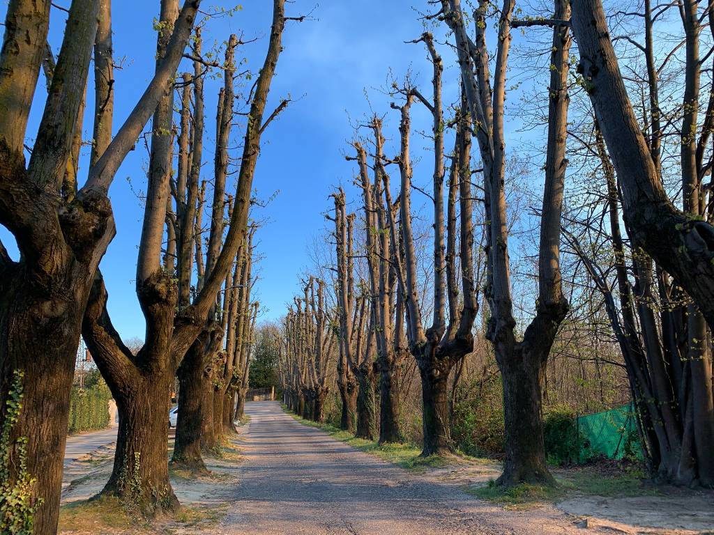 Una gita nel borgo di Bregazzana, Varese