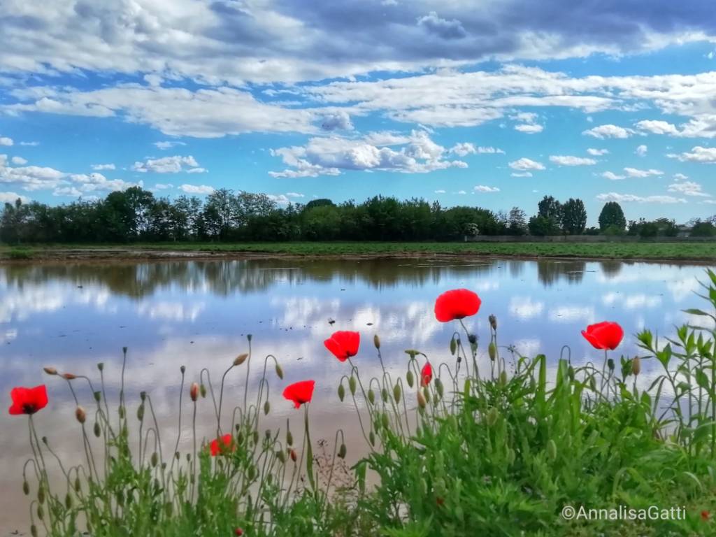 foto de giorno maggio 2021