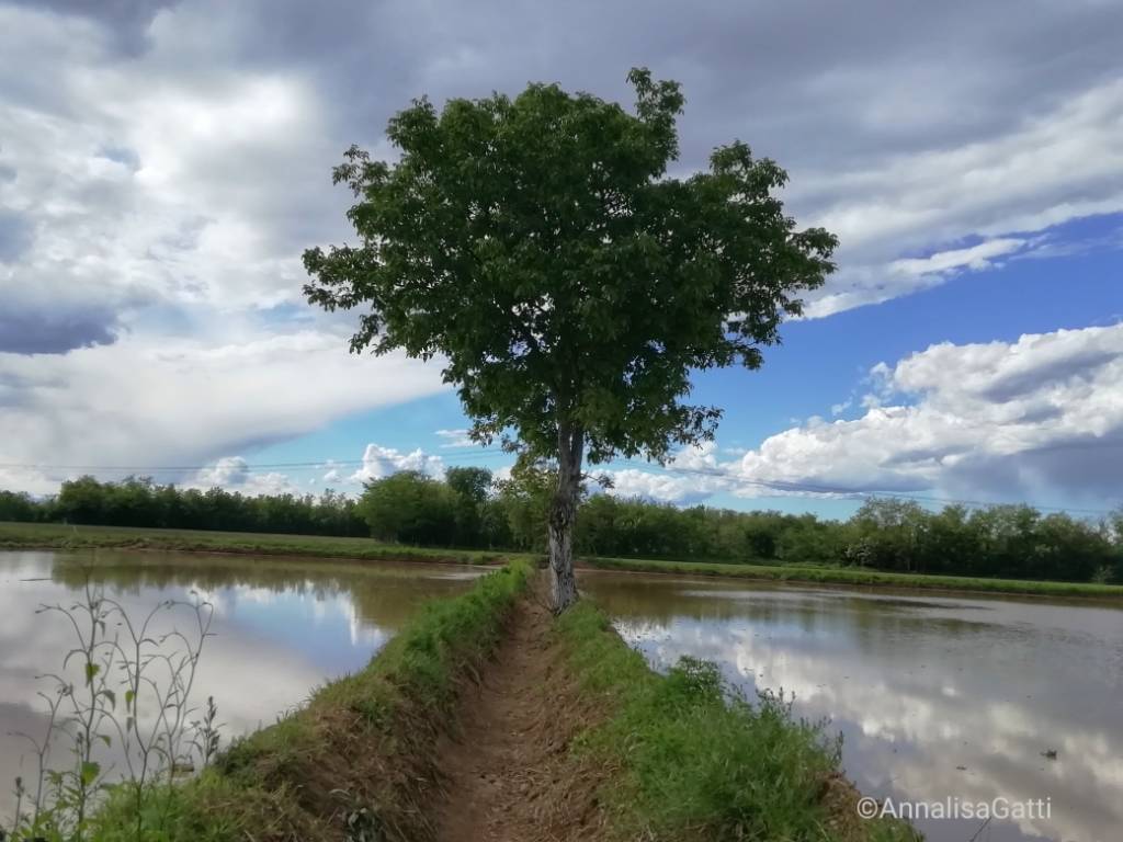 foto de giorno maggio 2021