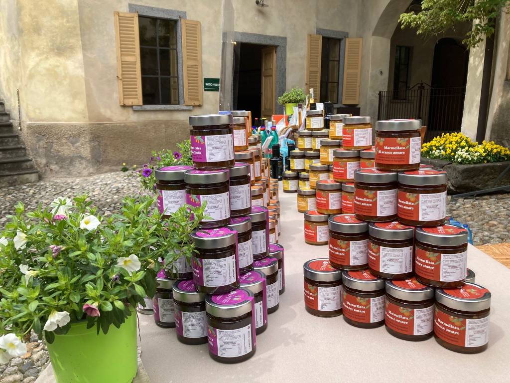 Giornate di primavera del Fai a villa Della Porta Bozzolo