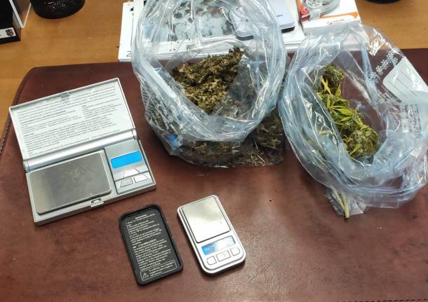 Produzione e spaccio di marijuana, arrestato con 12 piante in casa