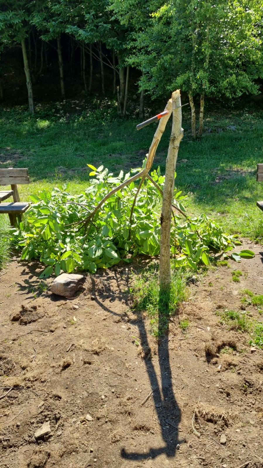 Ancora vandali al Pian delle Noci