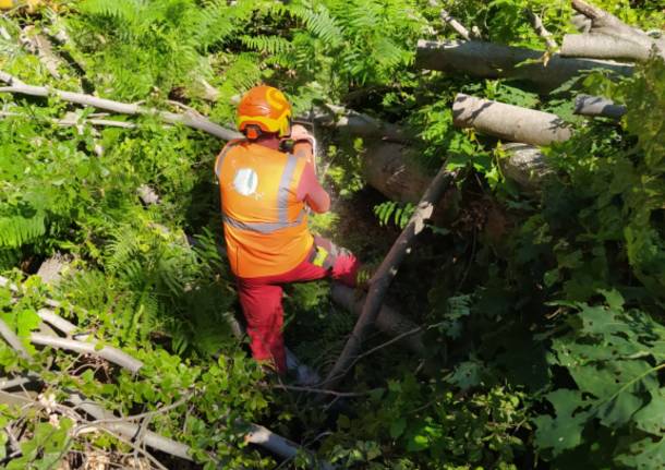 I cacciatori al lavoro per risistemare i sentieri a Brinzio