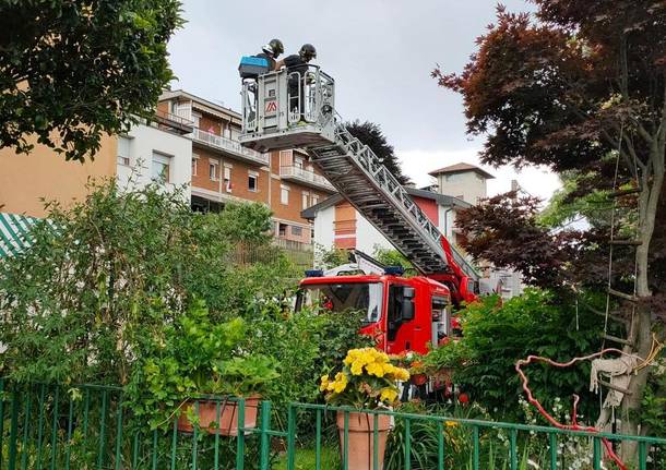 Quel gattino salvato dai vigili del fuoco a Varese mi ha ricordato le nostre fragilità