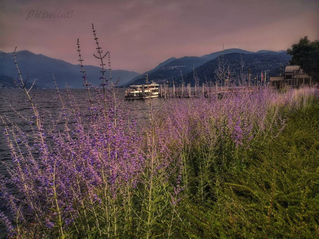 Colori d'estate a Luino - ph. Delia Ilona Ciocoiu