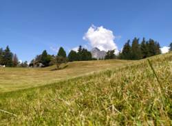 Estate al Parco del Fiabosco, in Valle d'Aosta