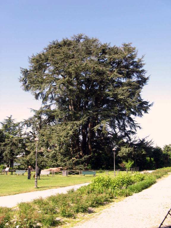 Metamorfosi Urbana: Villa Mirabello e il bello del parco "sposato" ai Giardini del Duca