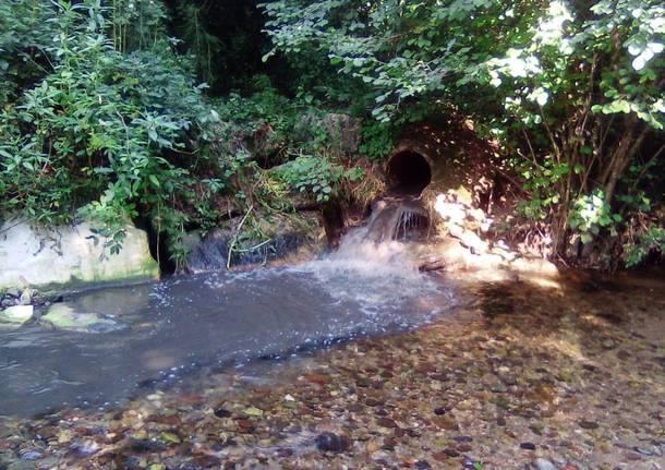 Depuratore Cantello 21 luglio