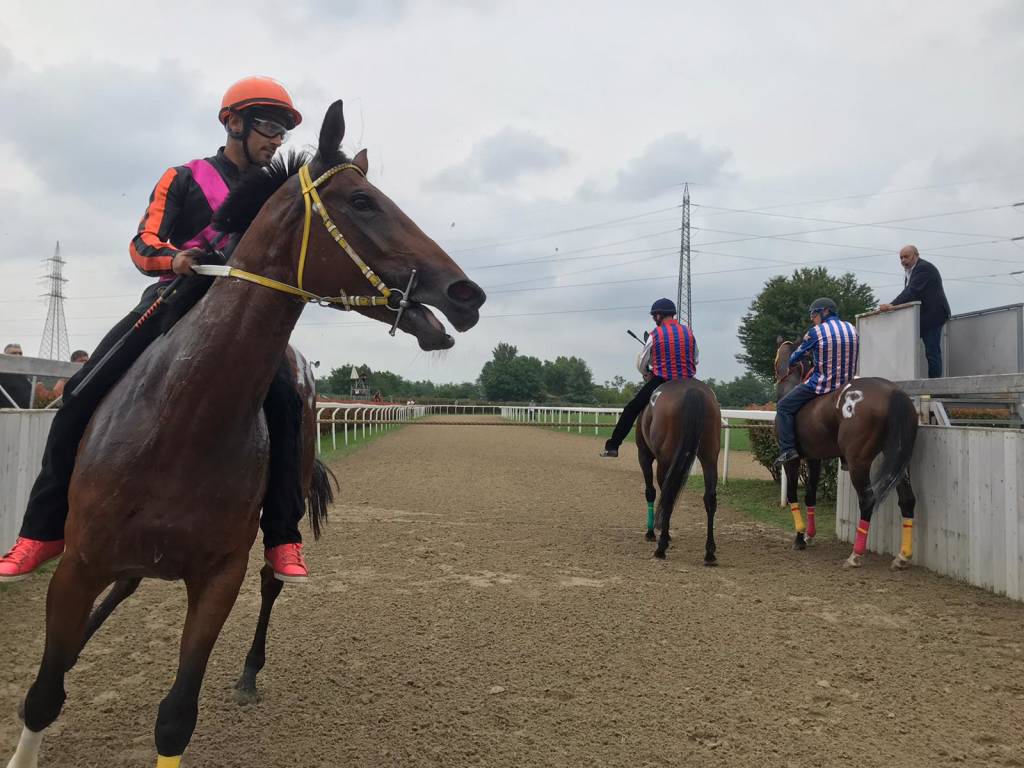 Il Palio di Legnano corre verso i mezzosangue