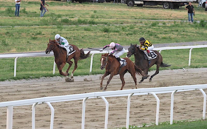 Ippodromo Le Bettole foto di Roberto Gernetti