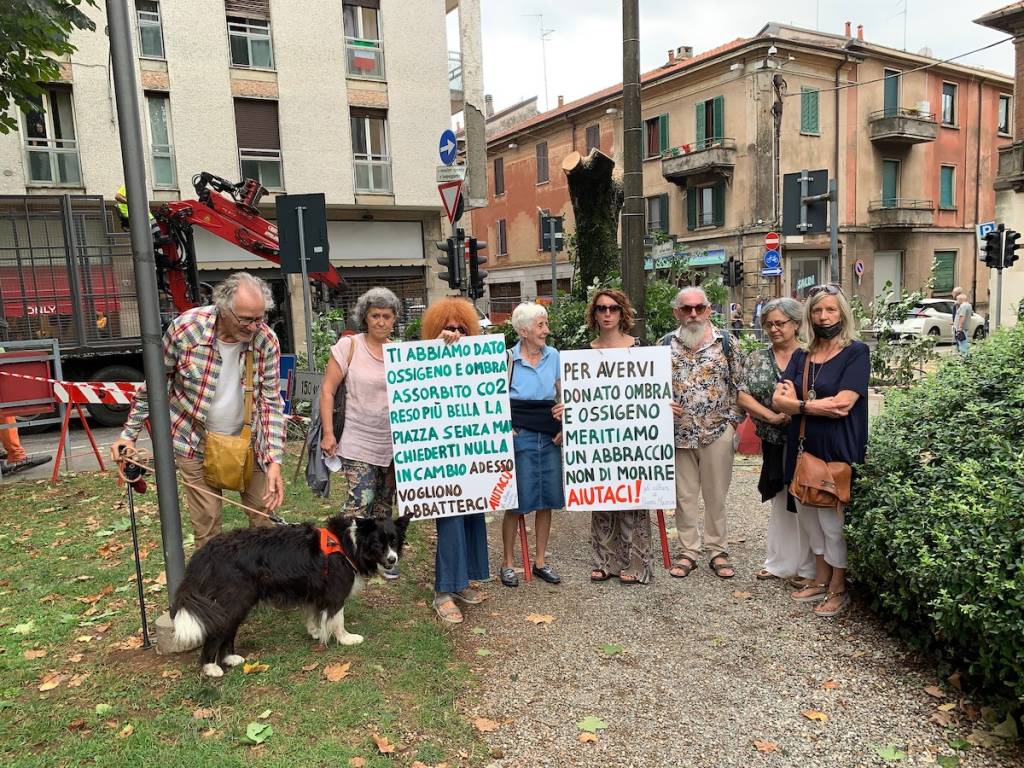 Tradate - Abbattimento albero piazza Mazzini