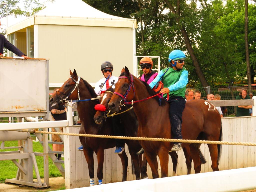 Corse di addestramento Palio di Legnano - 1 agosto 2021