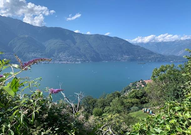 lago Maggiore varie