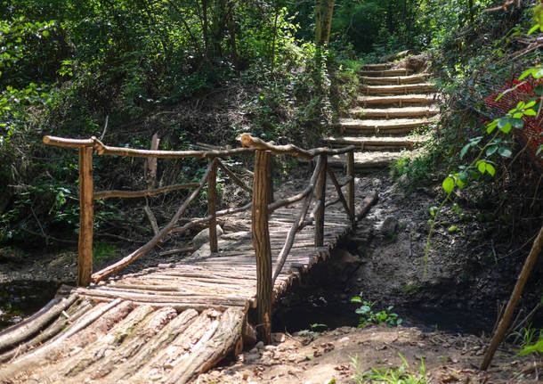 ponte sentiero bosco albizzate