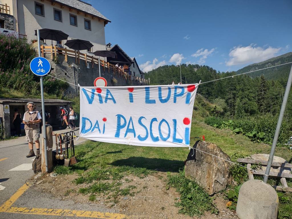 striscione allevatori alpe devero