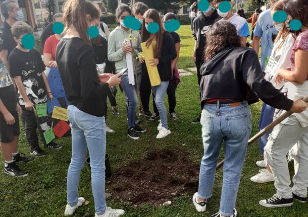 Gli studenti di Cuveglio piantano alberi in paese