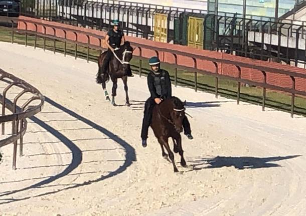 Palio di Legnano - prove ufficiali