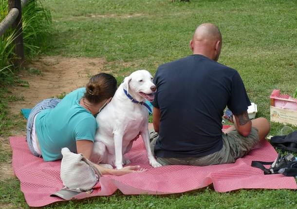 Picnic valle Olona 