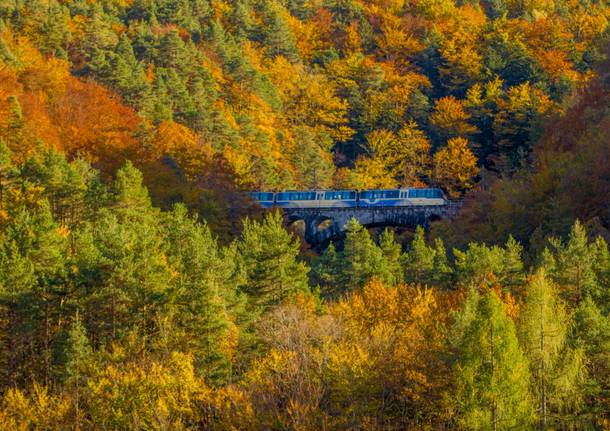 treno del foliage - ph. Rob Lewis