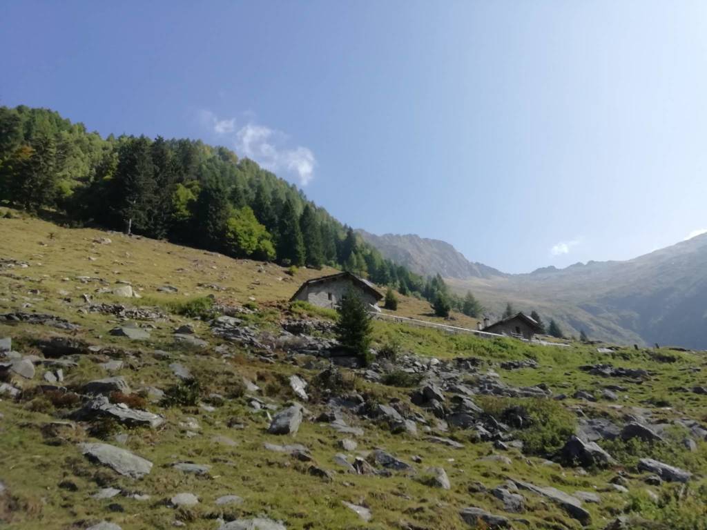 600 km in bici dal Lago Maggiore a Verona