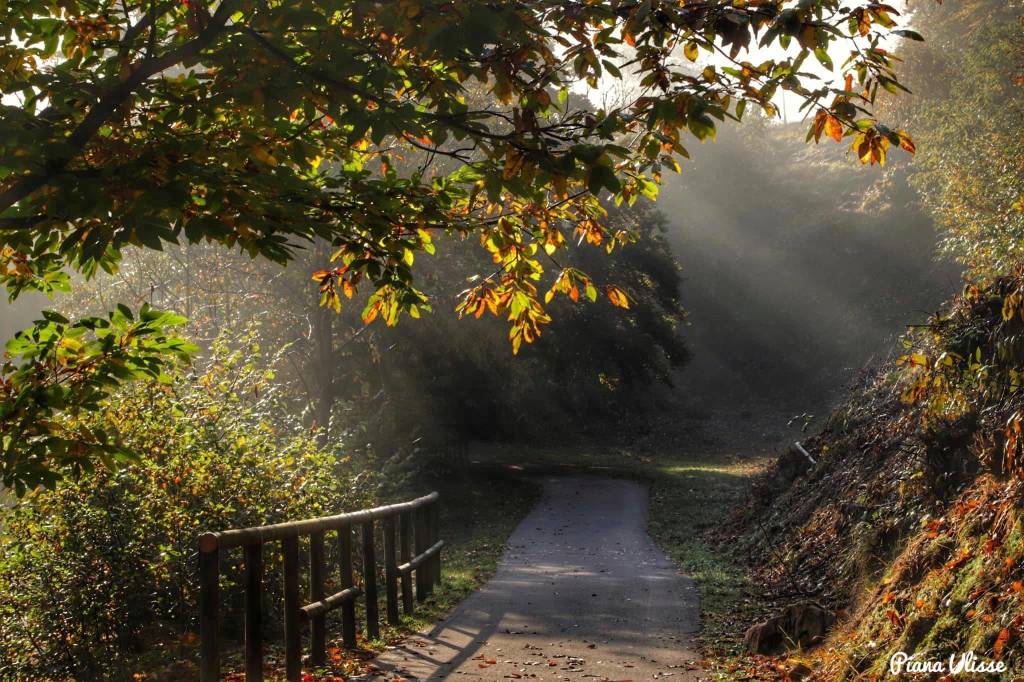 autunno ulisse piana