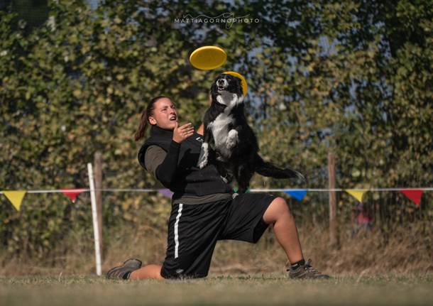 Carlotta e Bebe, le campionesse di disc dog abitano a Bisuschio