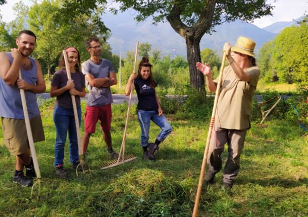 Valcuvia, a lezione di “ranza”: tagliare il prato come facevano i nonni