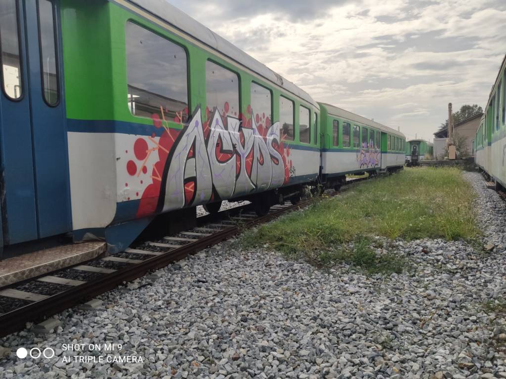 Vandalizzati i treni della Verbano Express