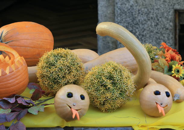 Festa della Zucca