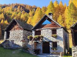 Foliage al Devero