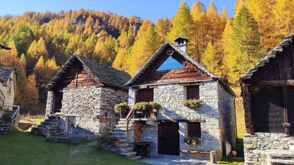 Foliage al Devero