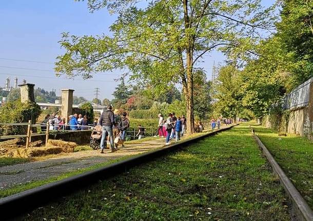 Valle olona fischiava il treno